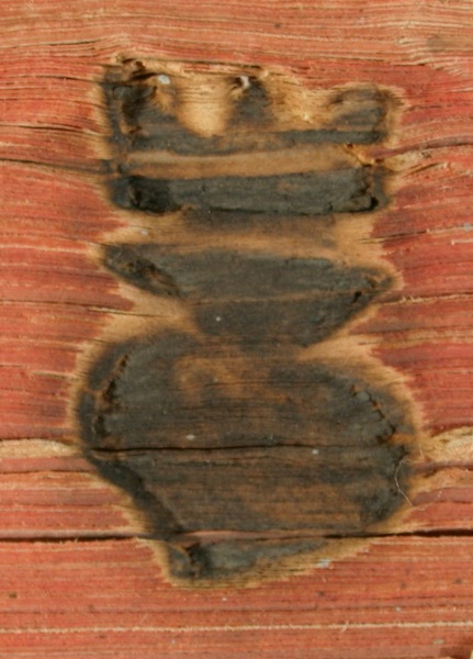 16187 mf.jpg